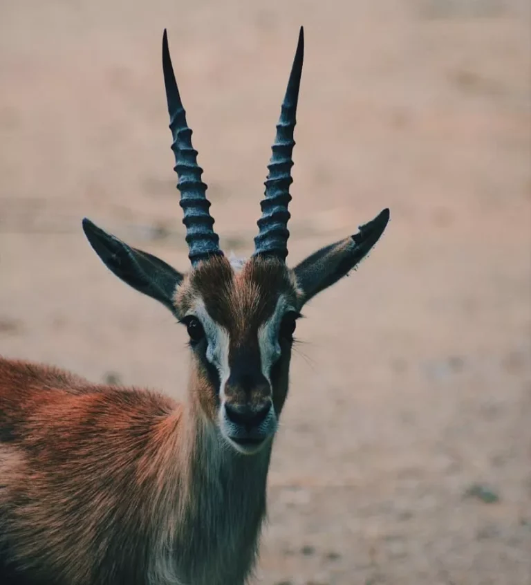 Around the Horn - August Edition