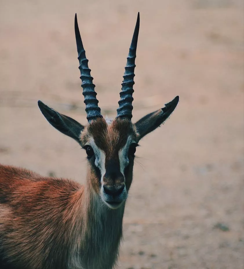 Around the Horn - August Edition