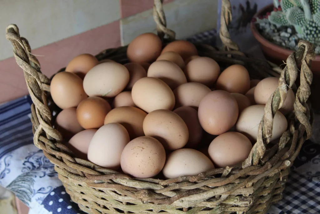 Eggs in one basket