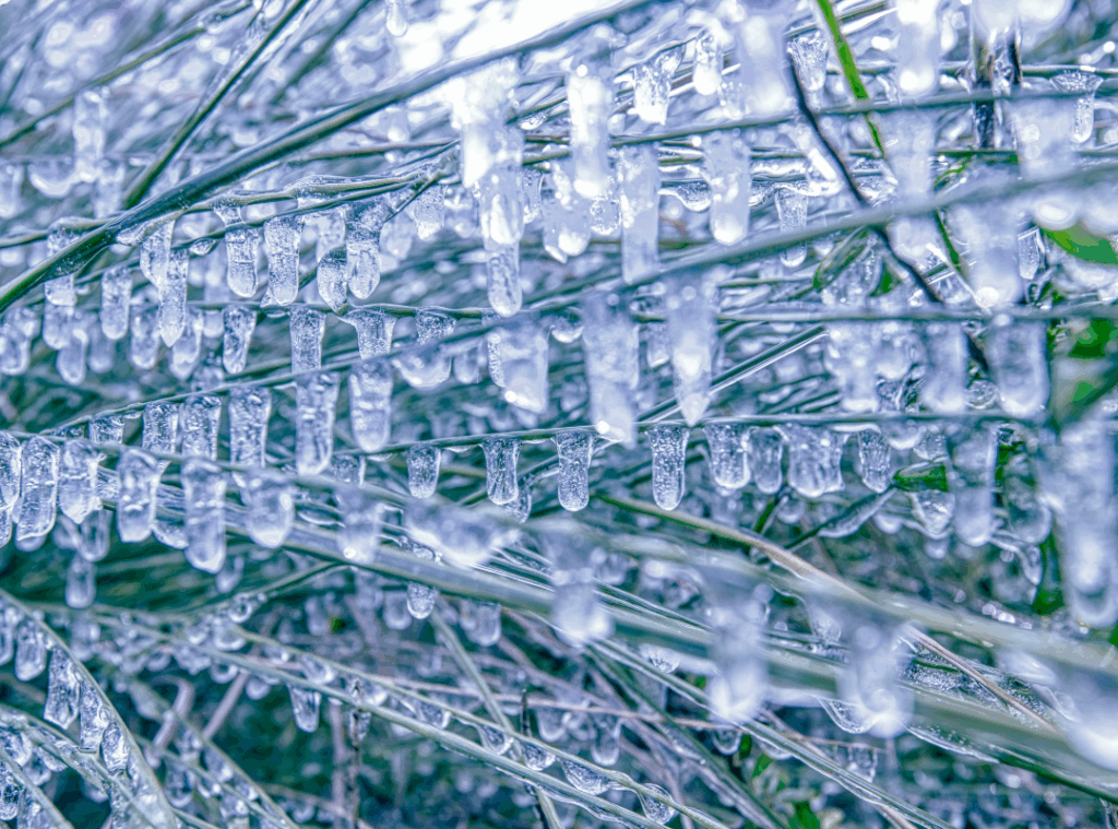 Austin Winter Preparedness - Real Estate Investment Portfolio